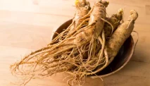 Kenapa Ginseng Bisa Kabur? Ini Dia Fakta dan Penyebabnya!