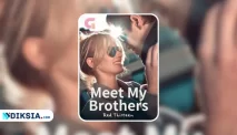 Meet My Brothers Novel By Thirteen