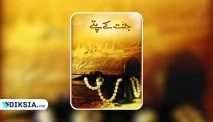 Novel Jannat Ke Pattay, Kisah Cinta dan Pengorbanan Haya Suleman