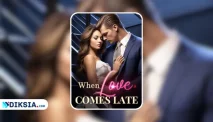 Review When Love Comes Late Novel by Fifine Schwan