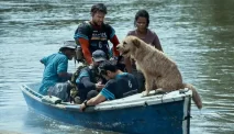 Film Arthur the King, Kisah Nyata Persahabatan Manusia dan Anjing
