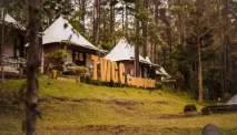 Terminal Wisata Grafika Cikole, Liburan Seru di Tengah Hutan Pinus Lembang