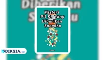 Novel Misteri Pil KB Yang Diberikan Suamiku by Ukhti Hinata