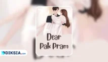 Novel Dear Pak Pram by Biby Lily, Kisah Pernikahan Kontrak Sherin dan Pram