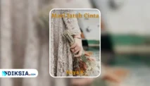Novel Marbot Itu Ternyata Sultan by Naya R, Kisah Cinta Amara dan Fahri