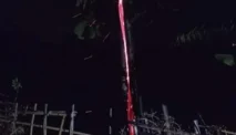 Fenomena Pohon Jati Mengeluarkan Api Gegerkan Warga Kuningan