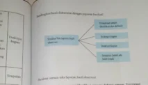 3 Bagian Penting Struktur Teks Laporan Hasil Observasi
