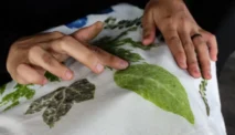 Bikin Batik Ecoprint? Ini Peluang Usaha Menarik yang Wajib Kamu Lirik!