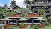 Liburan Seru di Rumah Stroberi, Petik Buah dan Relaksasi Onsen di Lembang