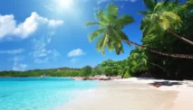 Pantai Trikora Bintan, Destinasi Favorit dengan Keindahan Alam yang Tenang
