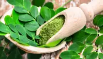 Mengenal Efek Samping Daun Kelor bagi Kesehatan Tubuh