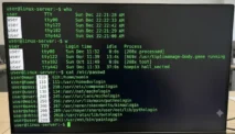 Cara Cek User Linux di Terminal: Panduan Lengkap