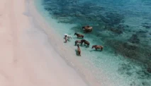 Wisata Gili Asahan, Pulau Cantik yang Masih Sepi di Lombok