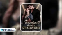 Novel Terpaksa Menjadi Istri Kedua Bosku by Usagi
