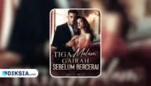 Novel Tiga Malam Gairah sebelum Bercerai by Ado_9027